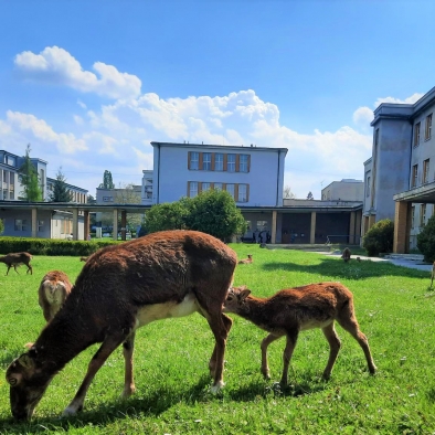 Thomayer University Hospital 